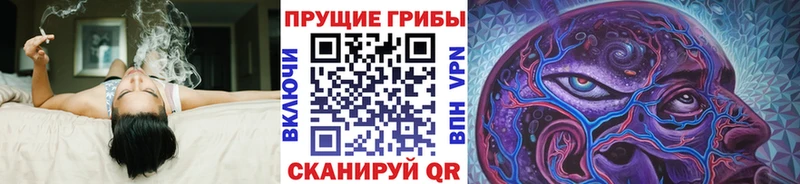 Псилоцибиновые грибы прущие грибы  закладки  Черногорск 
